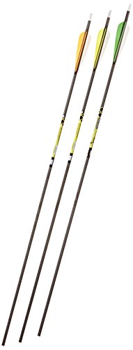 Gold Tip Pro Hunter 7595/340 Carbon Arrows with 4-Inch Vanes, Black