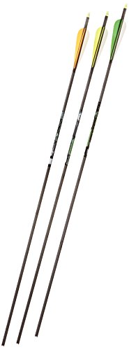 Gold Tip Velocity XT 300 Arrows with 4-Inch Vanes 72 Count Black