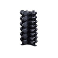 Body-Solid GDR80-SDRS550 Dumbbell Set with Vertical Rack Black