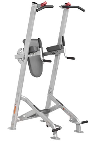 HOIST Fitness Dip Station & Pull Up Bar Platinum