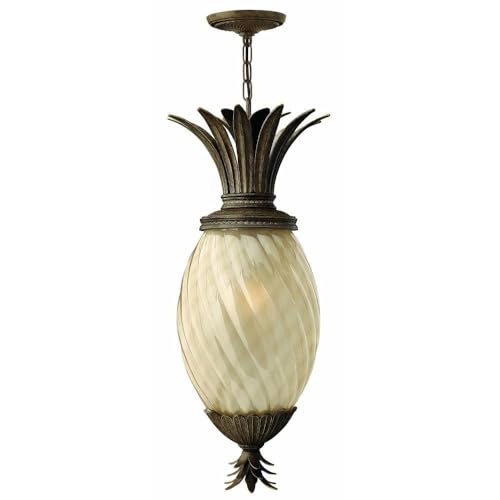 Bailey Street Home 4 Light Outdoor Hanging Lantern Bronze