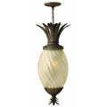 Bailey Street Home 4 Light Outdoor Hanging Lantern Bronze