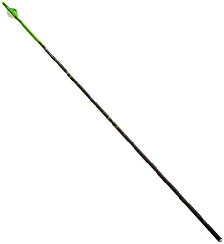 Gold Tip Name The Game XT 300 Arrows with 2-Inch HP Vanes 72 Count Green Splash Green