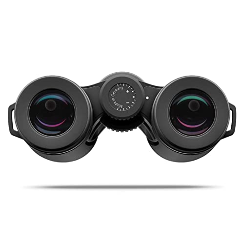 ZEISS 10x32 Victory SF Binoculars Black