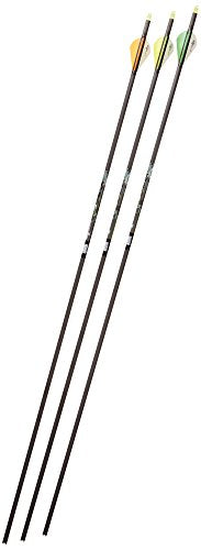 Gold Tip Velocity XT 340 Arrows with 2-Inch Vanes 72 Count Black