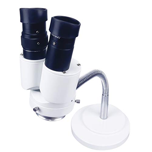 NSKI Dental Lab Binocular Microscope 10X Magnification 360° Revolve Grey
