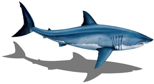 Custom Mosaics, Inc. Great White Shark Porcelain Swimming Pool Mosaic Blue