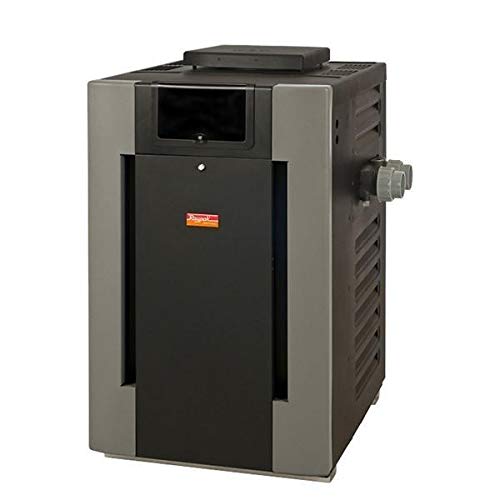 Raypak 266,000 BTU Natural Gas Millivolt Pool Heater