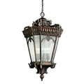 Bailey Street Home 4 Light Outdoor Hanging Pendant Londonderry Finish Clear