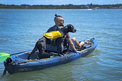 Perception Kayaks Pescador Pilot 12 Fishing Kayak Dapper