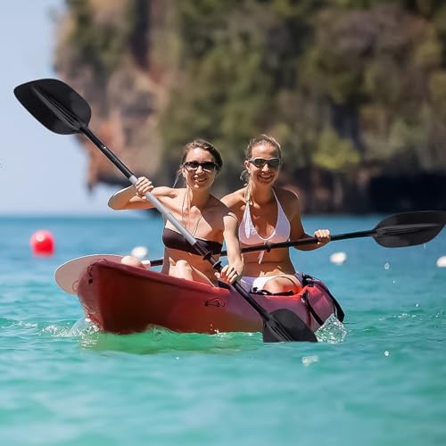 Hipicute 13FT Sit-on-Top Fishing Kayak for 2 Adults with Paddle & Comfortable Seat, Reddish Black