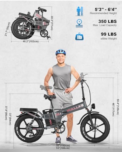 W Wallke Electric Bike Adults Folding 1000W 48V 36Ah Gray
