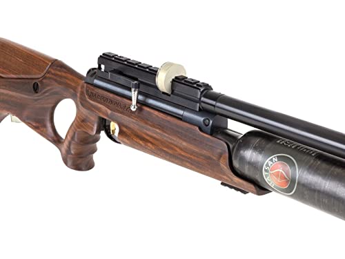 Wearable4U Hatsan NeutronStar .22 Cal PCP Air Rifle Bundle with 250 Pellets and 100 Paper Targets