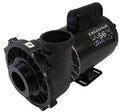Waterway Plastics 5 Horsepower 230V 2-Speed Spa Pump Side Discharge Executive 56 Black