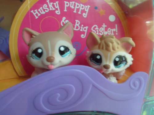 Littlest Pet Shop Cozy Care Adoption Center Playset