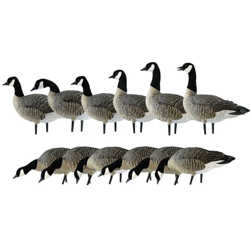 Avian-X Topflight Early Season Teal & AXP Honkers Fusion Canada Goose Decoy Set 6 Pack