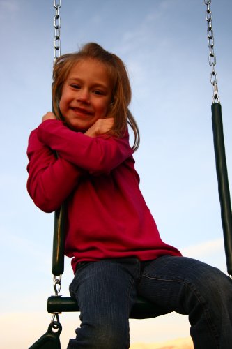 Lifetime Metal Swing Set Earthtone
