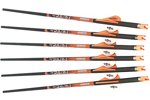 RAVIN R10 Predator Crossbow Bundle with Hard Case, Shoulder Sling, and Broadheads Gray
