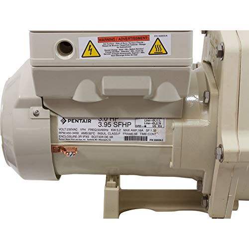 Pentair 011028 IntelliFlo VS Pool Pump Almond