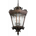 Bailey Street Home 8 Light Outdoor Ceiling Fixture Londonderry Finish Clear