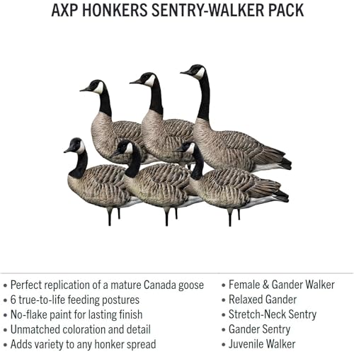 Avian-X AXP 6 Piece Goose Decoy Set with Rugged Steel Base