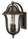 Hinkley Bolla Medium Wall Mount Outdoor Lantern 3-Light Clear Seedy Glass Olde Bronze