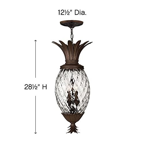 Bailey Street Home 4 Light Outdoor Hanging Lantern Bronze