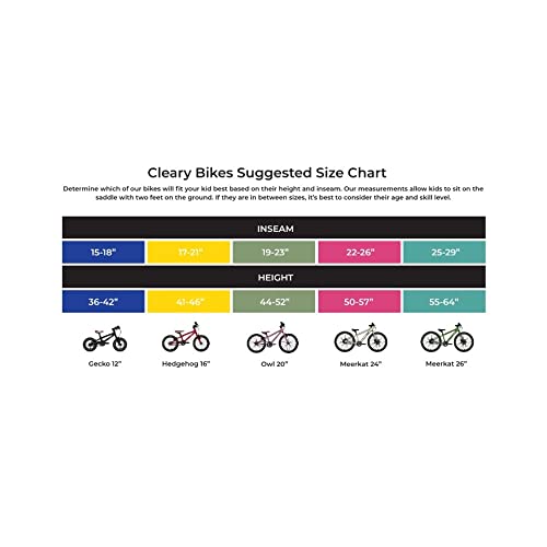 Cleary Bikes Owl 20" Kids Bike Single Speed Patagonia Red
