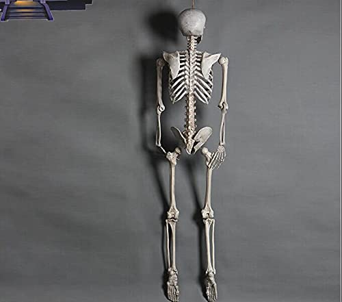 zhangzhejun Horror Skeleton Bones Halloween Props