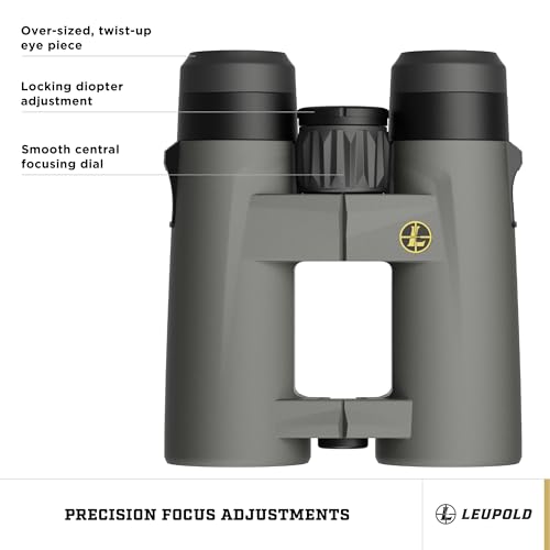 Leupold BX-4 Pro Guide HD Binoculars 10x42mm Shadow Gray