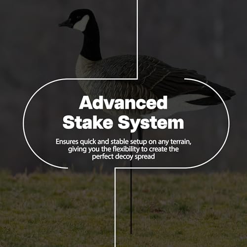 Avian-X Lessers 6 Piece Fusion Goose Decoy Set Multicolor