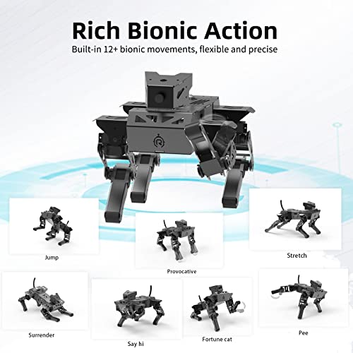 XiaoR Geek Smart Robot Dog Kit Black
