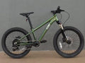 Cleary Bikes Scout 20 Inch 9 Speed Kids MTN Bike Intergalactic Green