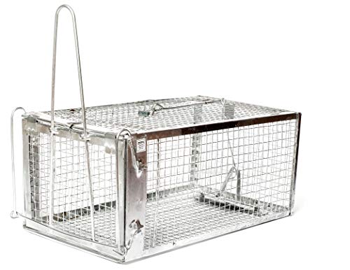 AB Traps Humane Live Animal Trap Cage for Rats, Mice, and Squirrels - Small 10.5" x 5.5" x 4.5" 40-Pack