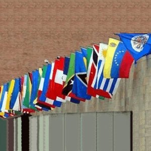 Eder Flag Organization of American States Flag Set 3X5 Foot SolarMax Nylon