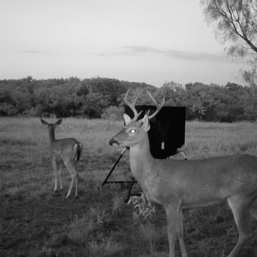 Monarch Hunting Products 500 LB Stubby Brown
