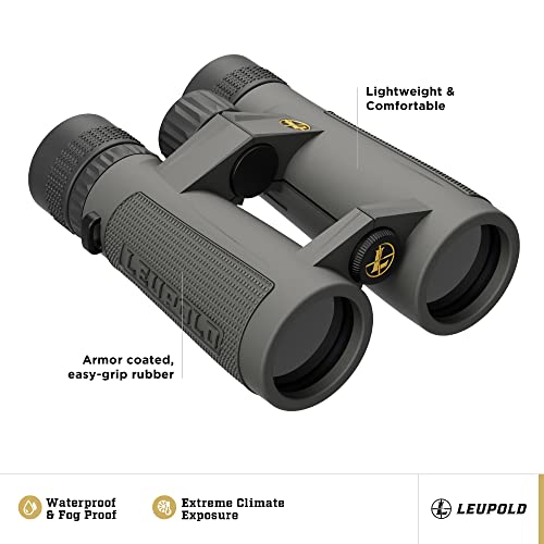 Leupold BX-5 Santiam HD Binoculars 10x42mm Shadow Gray