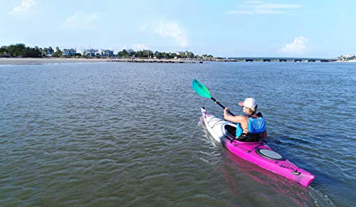 Perception Kayaks Expression 11.5 Sit Inside Kayak Dapper