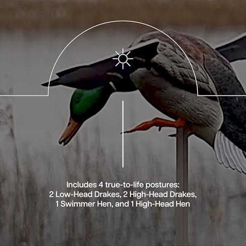 Avian-X Powerflight Smart Motion Mallard Motorized Duck Decoy 3 Pack