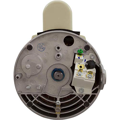 Pentair Pool and Spa Pump Motor Replacement Almond
