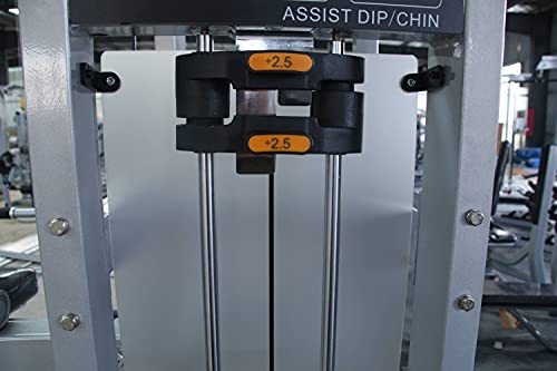 French Fitness Shasta Assisted Chin Dip (New)