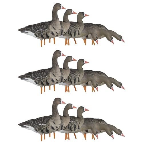 Avian-X AXP Specklebelly Decoy Fusion Pack 18 Pack