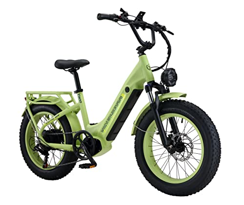 YinZhiBoo Electric Bike for Adults 750W BAFANG Motor Ebike Green
