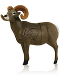 Delta McKenzie Bighorn Sheep Multi