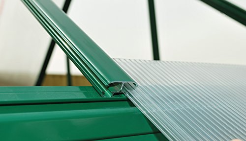 Palram Canopia Hybrid Greenhouse 6' x 8' Forest Green