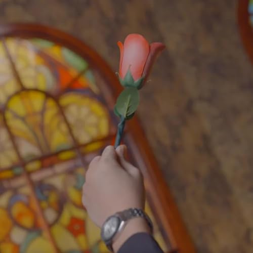 blue-ther Color Changing Rose Magic Trick Red to White