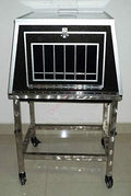Oriental Magic Girl Appearing from Cage Magic Kit