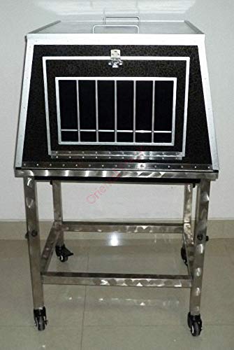 Oriental Magic Girl Appearing from Cage Magic Kit