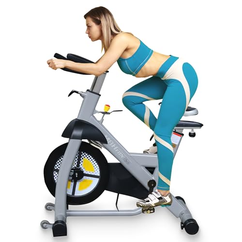 R RYAN SHERWOOD Exercise Spin Bike Commercial for Gym (50 lb Flywheel) 350 lb Capacity - Grey