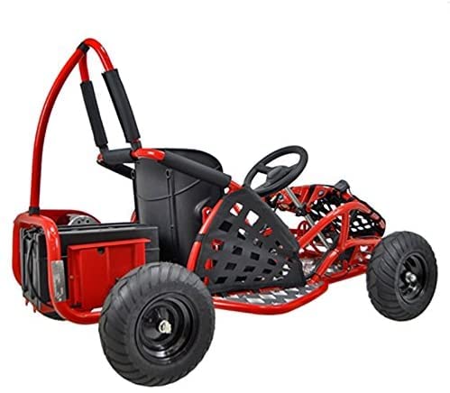 HHH Go-Bowen Baja 1000W Brushless Kids GoKart Black